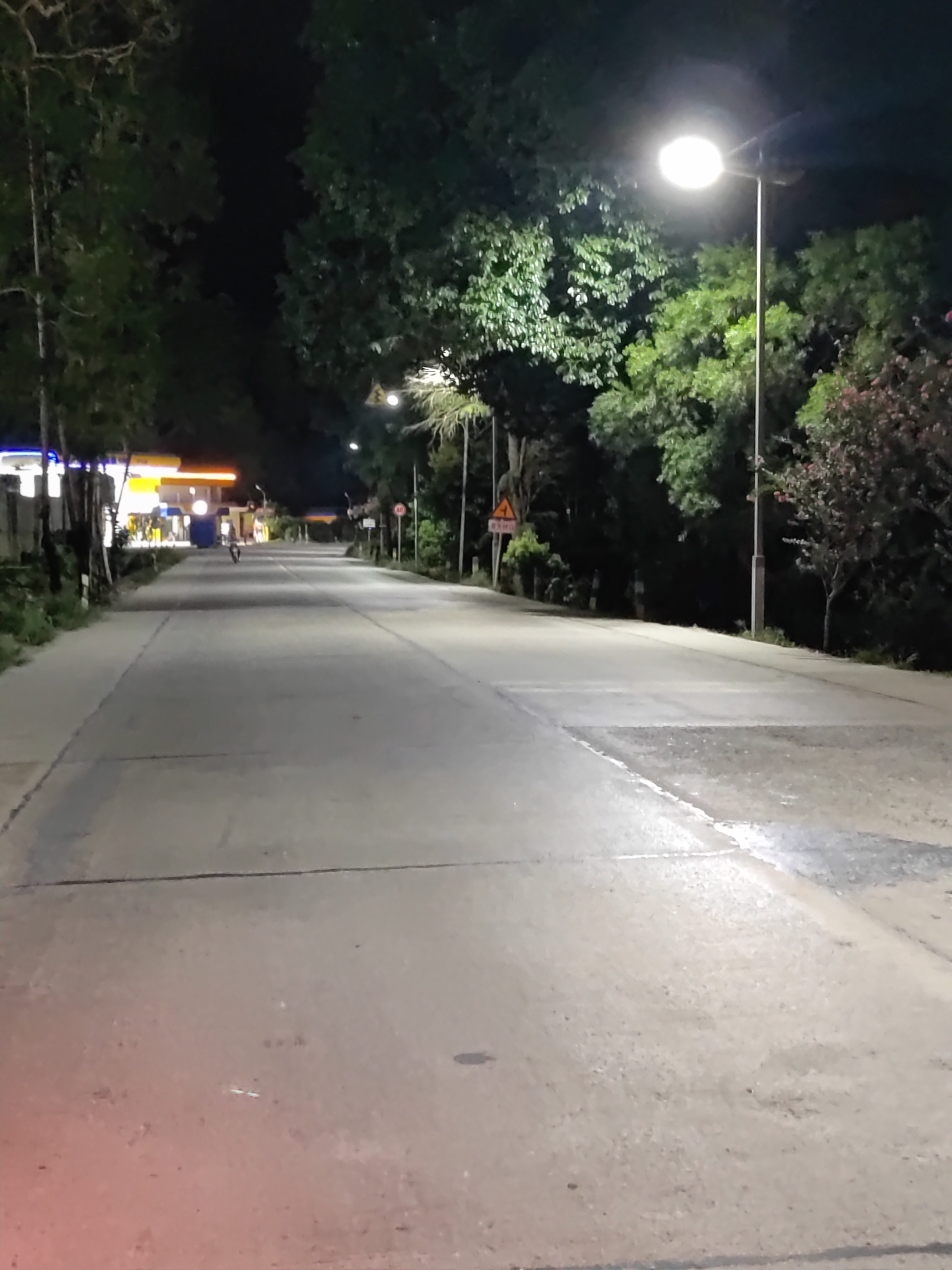 乡村不眠夜：太阳能路灯点亮振兴之路